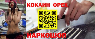 a pvp Новозыбков