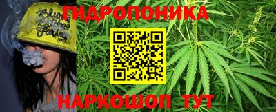 a pvp Новозыбков