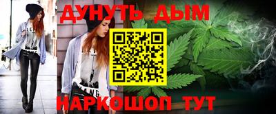 a pvp Новозыбков