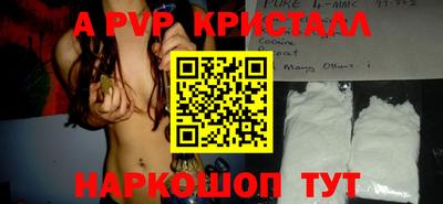 a pvp Новозыбков