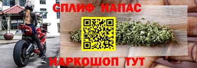 a pvp Новозыбков
