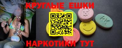a pvp Новозыбков