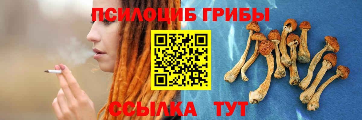 купить закладку  Вход с VPN  Галлюциногенные грибы мицелий  Ставрополь  Псилоцибиновые грибы Cubensis 